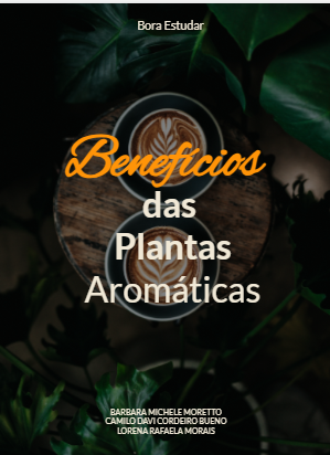 O BENEFÍCIO DAS PLANTAS AROMÁTICAS